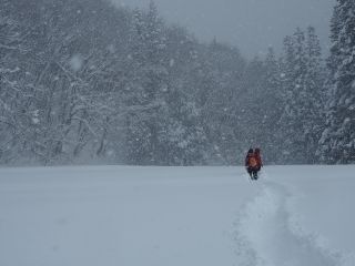 白銀の雪原を歩いてみましょう。