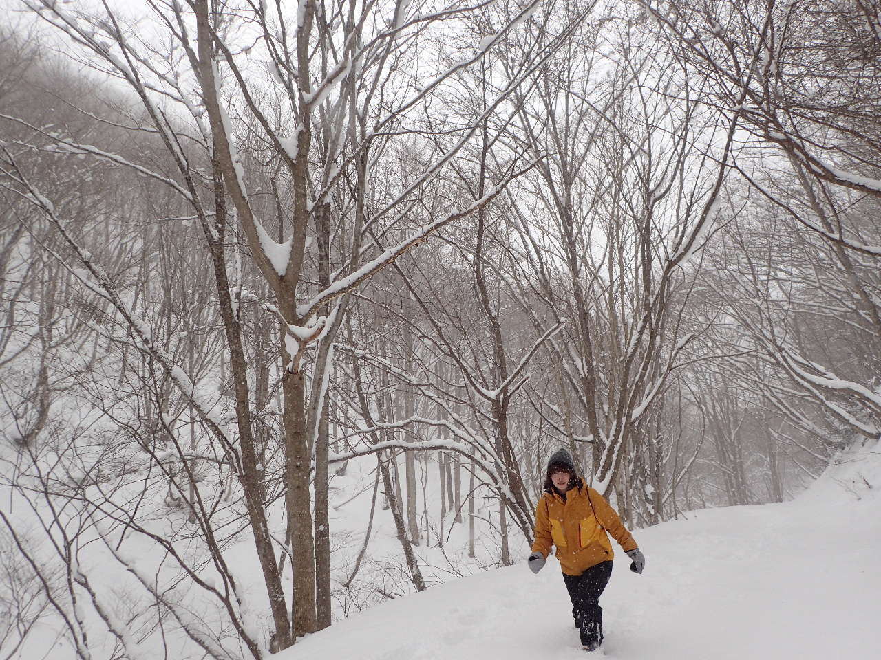 �R���Ȃ̂ő����̗͕͂K�v�ł����A�F�l�̃y�[�X�ɍ��킹�Ă��ē��������܂��B���S���Ă��Q�����������܂��B