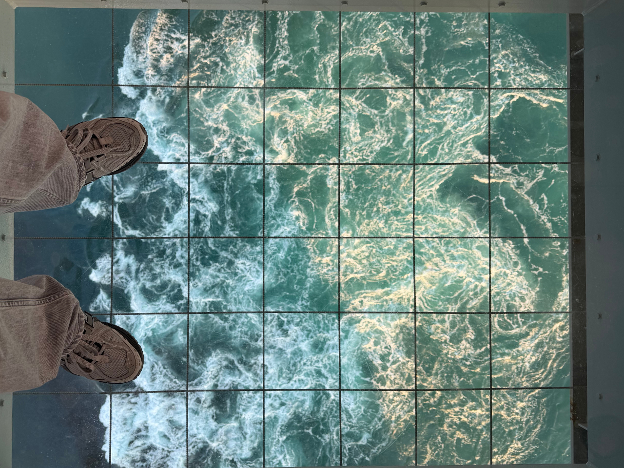 Pegasus�ό��̎ʐ^2