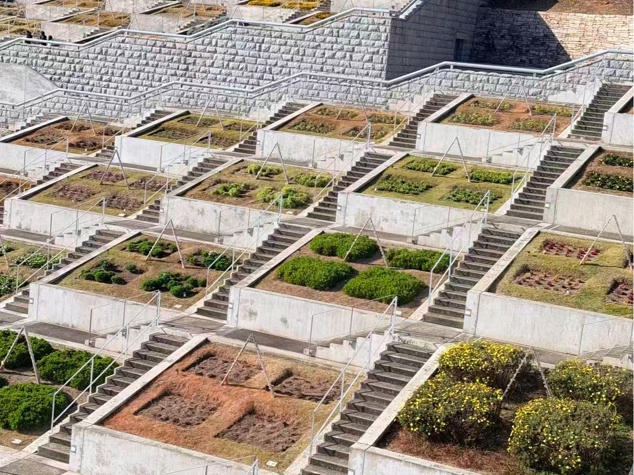 Pegasus�ό��̎ʐ^3