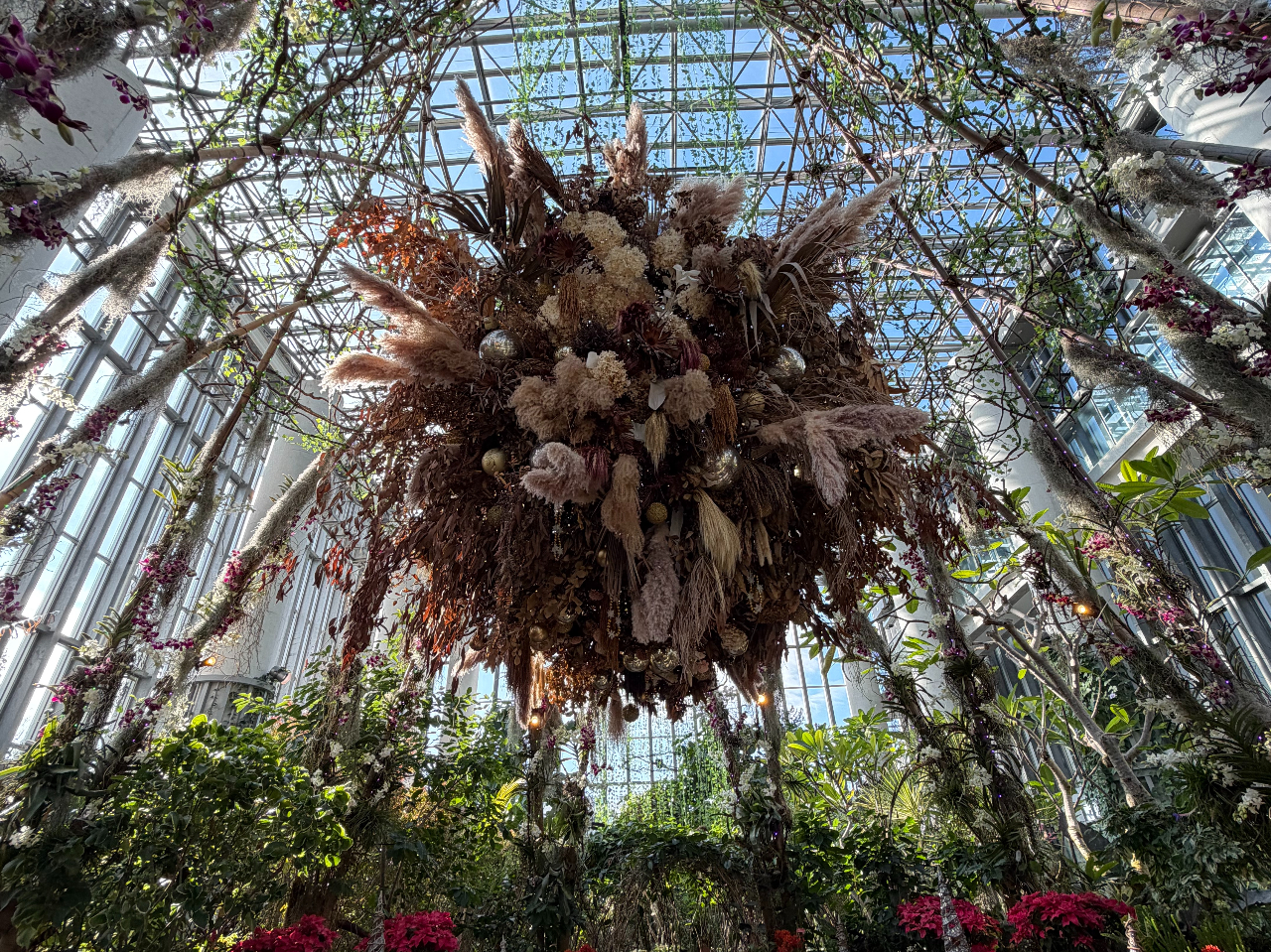 Pegasus�ό��̎ʐ^4