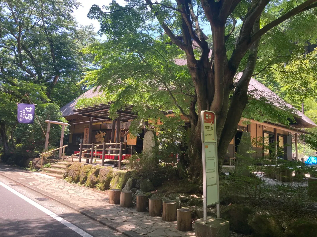 Pegasus�ό��̎ʐ^4