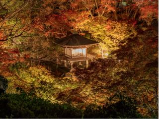 和歌山城・紅葉溪庭園