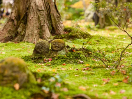 Pegasus�ό��̎ʐ^4