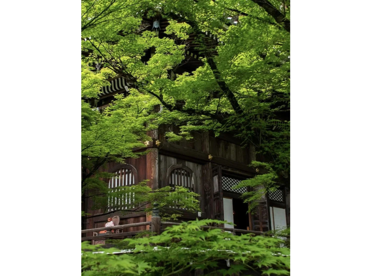 Pegasus�ό��̎ʐ^3