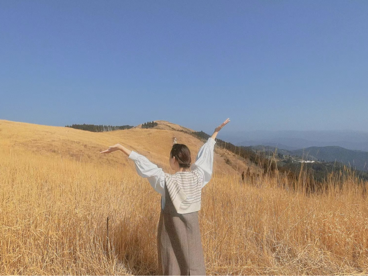 Pegasus�ό��̎ʐ^2