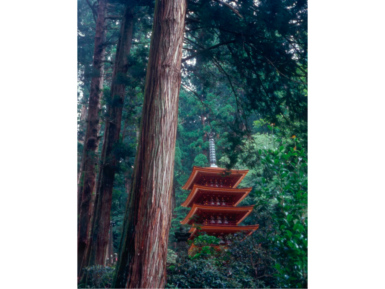 Pegasus�ό��̎ʐ^4