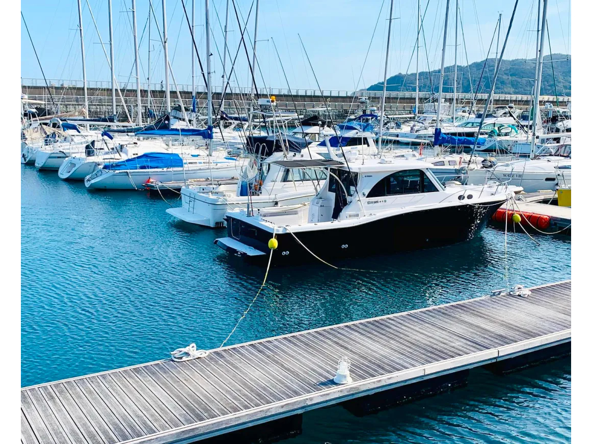 Pegasus�ό��̎ʐ^4