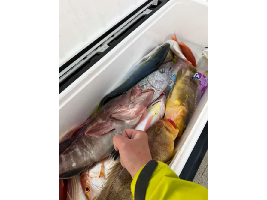 Pegasus�ό��̎ʐ^2