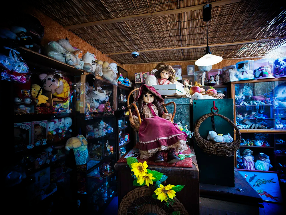 Pegasus�ό��̎ʐ^3