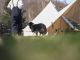 愛犬もノンリードで楽しめます!