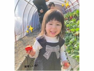 珍しい石垣栽培のイチゴ狩り