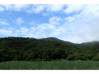 暮らしのそばに自然遺産