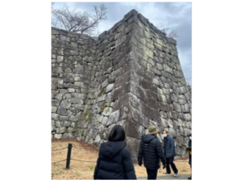 ���͖���̔����i���c��̎ʐ^4