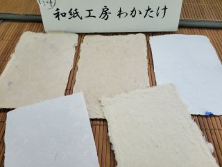\光沢やぬくもりを伝える雁皮(がんび)を原料に、琵琶湖の(ヨシ)など 自然の材料を漉き込んでいます♪/