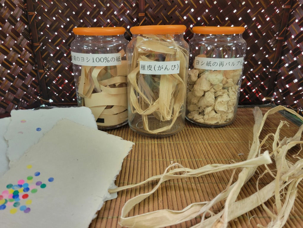 �a���H�[�킩�����̎ʐ^2