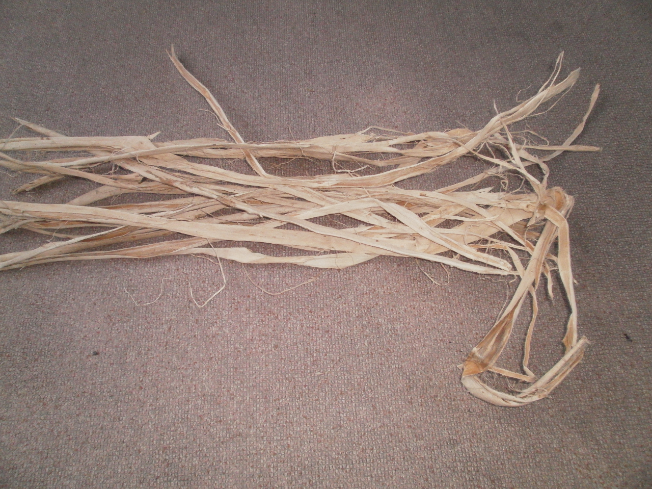 �a���H�[�킩�����̎ʐ^3