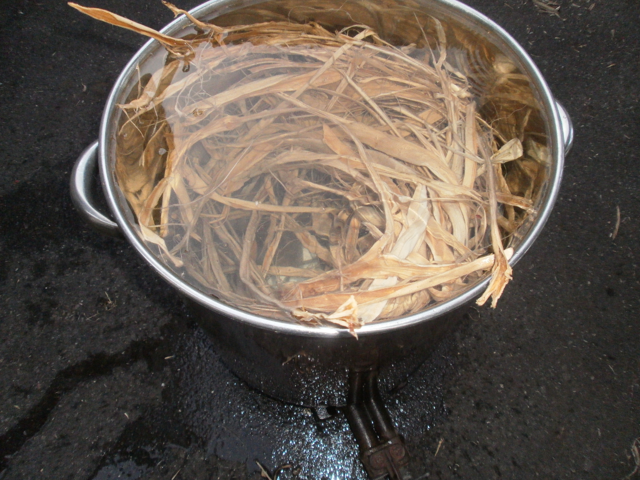 �a���H�[�킩�����̎ʐ^4