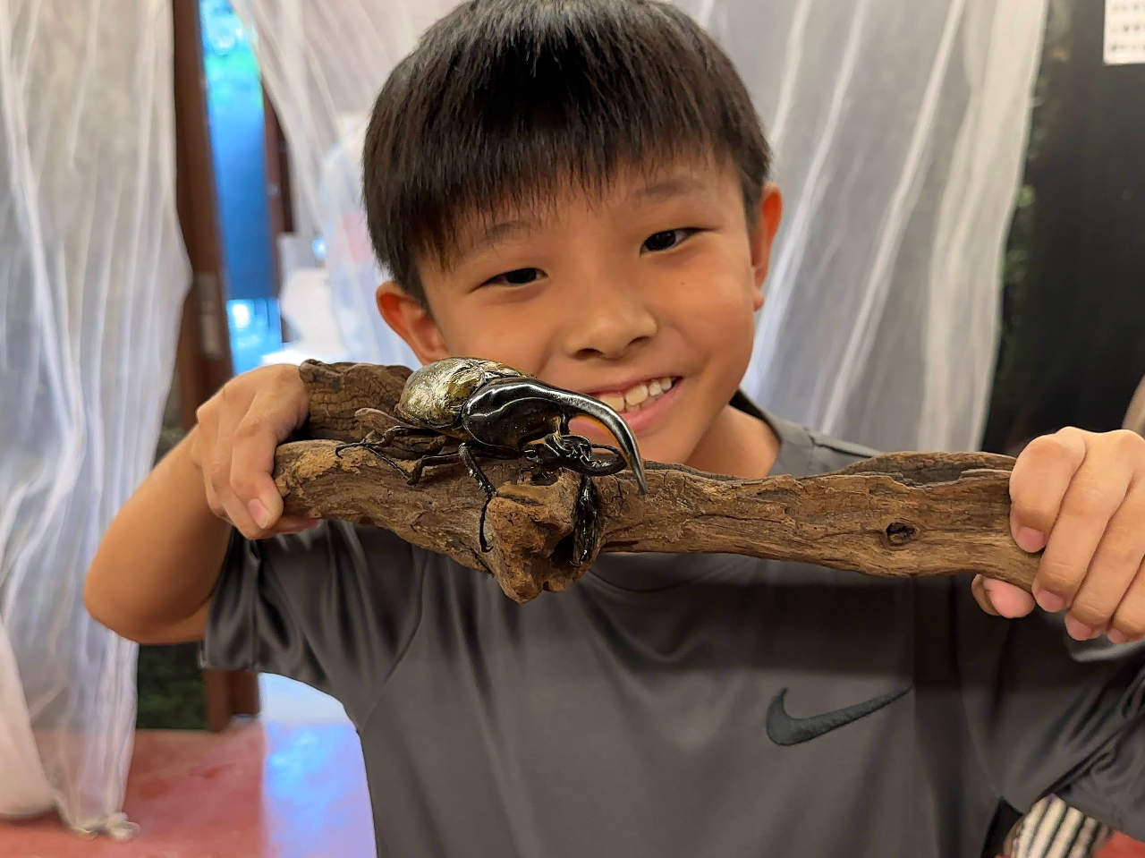 �ނ��Č�����ڂ�����̍� �L���X�̎ʐ^4