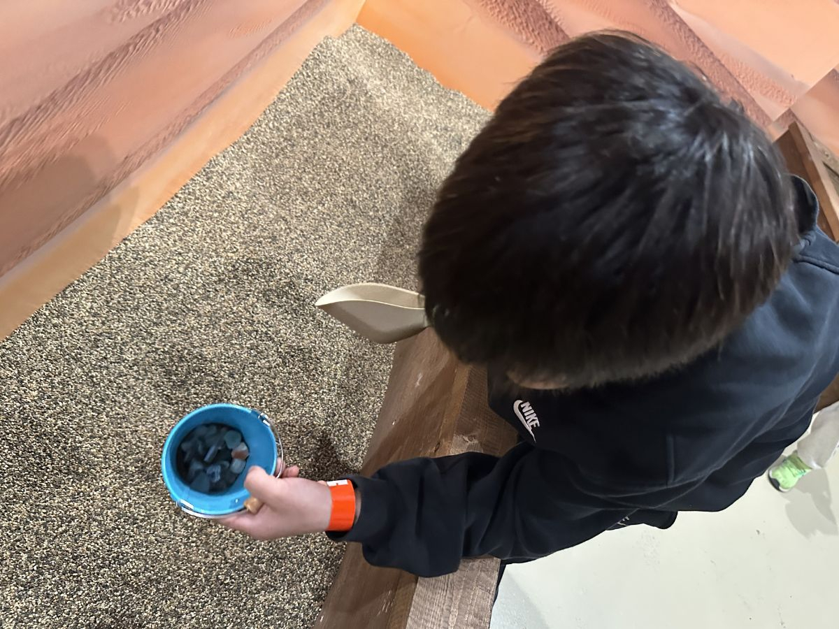 �ނ��Č�����ڂ�����̍� �L���X�̎ʐ^2