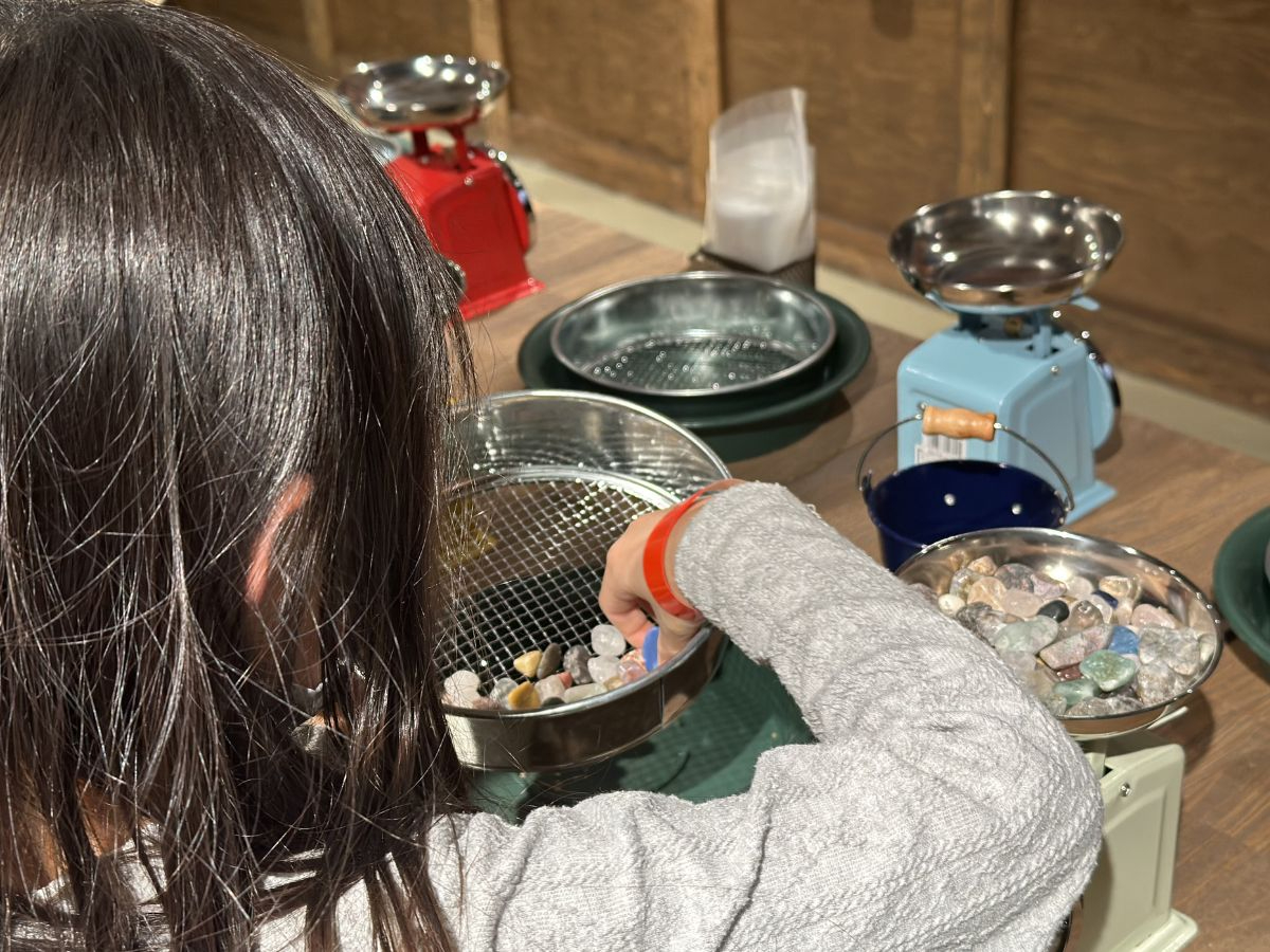 �ނ��Č�����ڂ�����̍� �L���X�̎ʐ^3