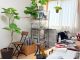 漆喰の壁と植物たちが日常のストレスを和らげます