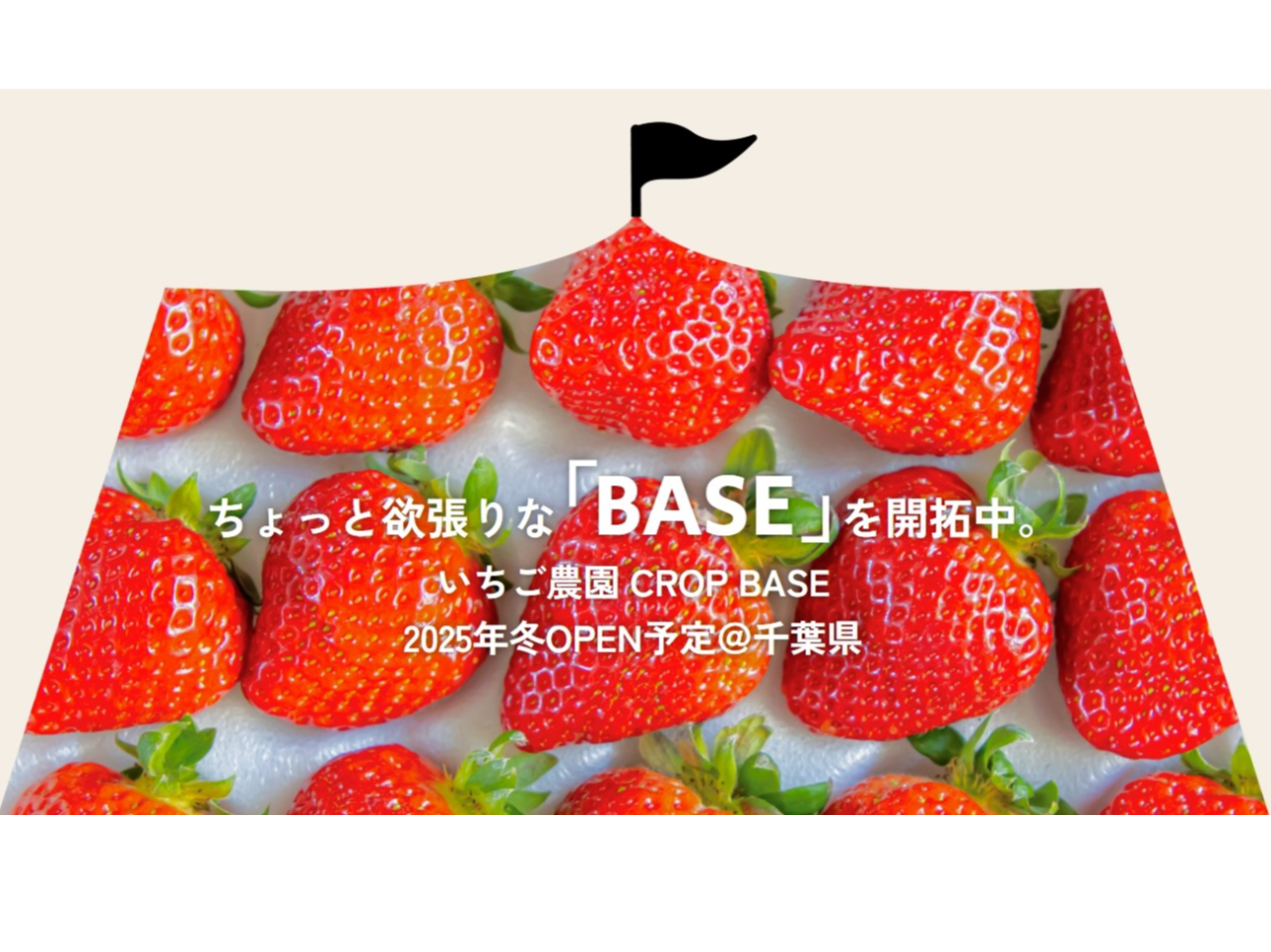≪2026年NewOpen!≫【いちご狩り40分食べ放題♪】《綺麗ないちご農園で...