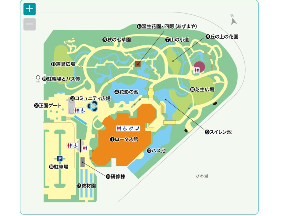 入園券＋蓮ソフト付き】草津市立水生植物公園みずの森のレストランで