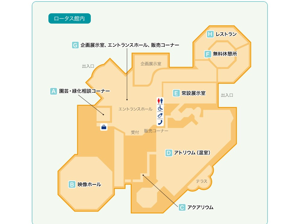 入園券＋蓮ソフト付き】草津市立水生植物公園みずの森のレストランで