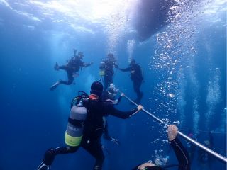 その日の一番良い海へお連れします!