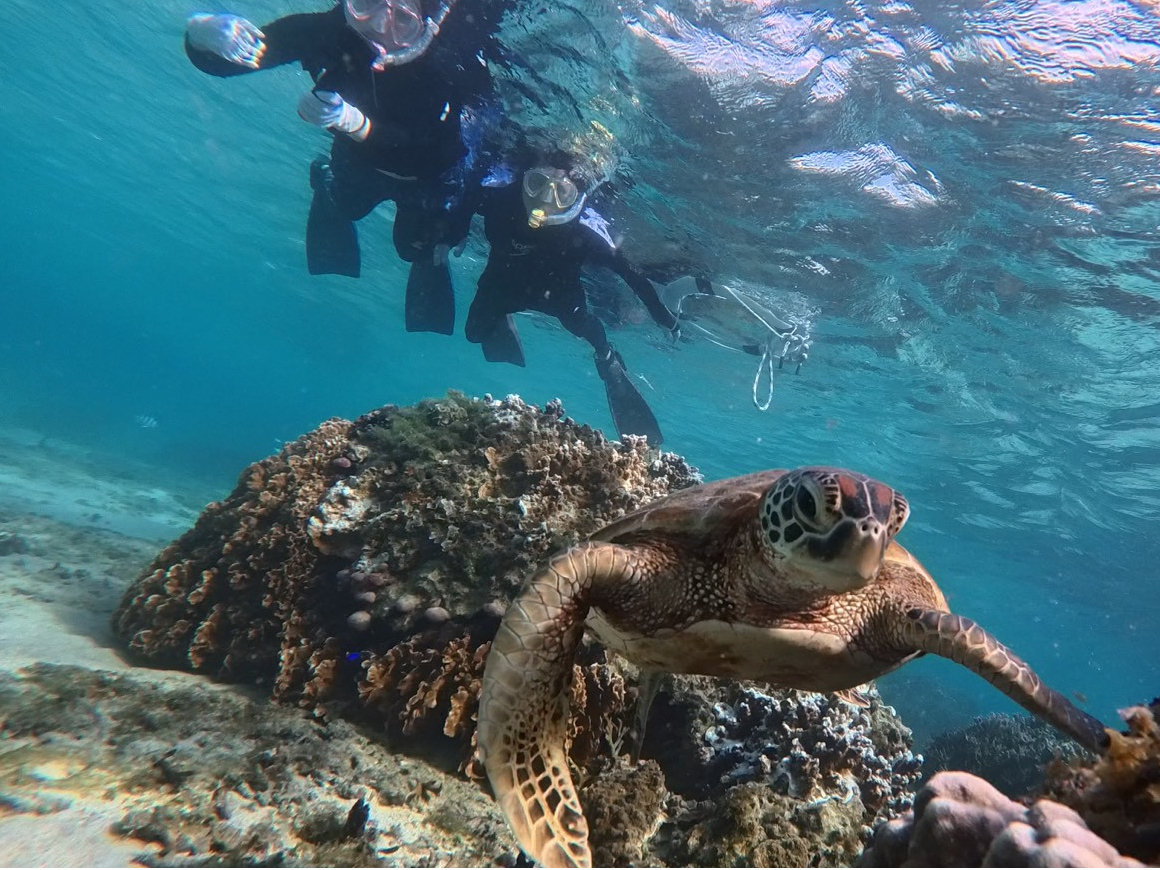 �n�������������̎ʐ^3