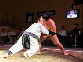 臨場感あふれる相撲ショーをお楽しみください。