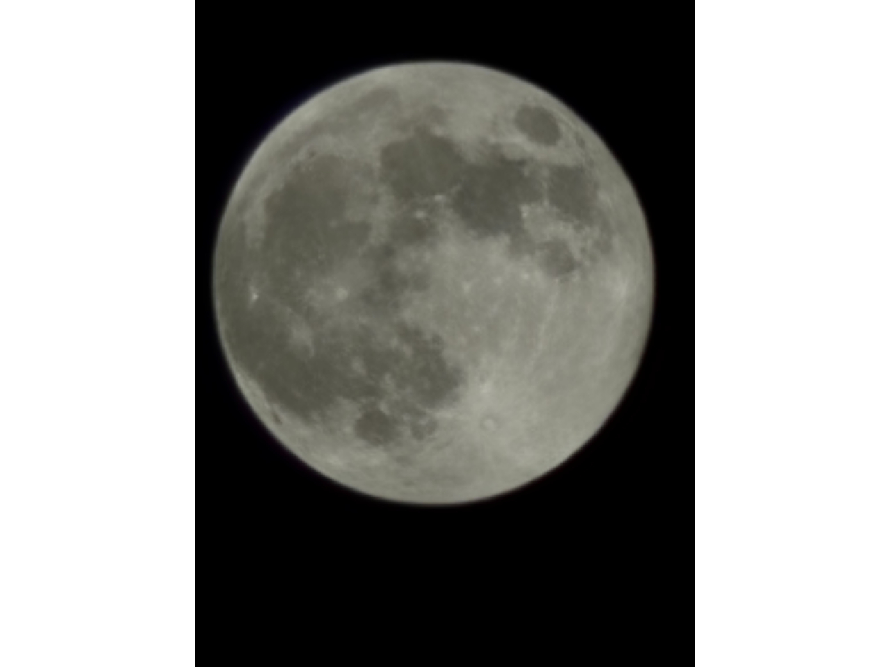 �����̐���ƌ������肪�f����i�C�g�c�A�[