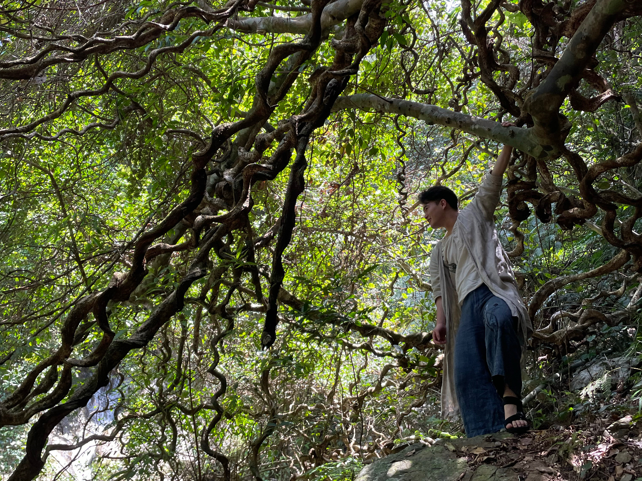 2��ڂ��y���߂�I�@��x���؃c�A�[�ɎQ�����ꂽ���͕ʂ̃X�|�b�g�ɂ����ē��v���܂��I