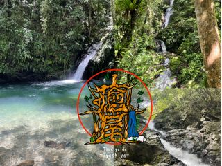 こちらのツアーでは奄美の秘境の滝をご案内致します!美しい森を彩る植物や生き物たちの命の源である奄美の水。 観光地化されていない本物の奄美を体験できるツアーです!