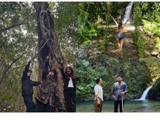 奄美の山の魅力を詰め込んだ、神秘の滝と巨木を巡るツアーです!体力に自信が無い方やご希望がある方はリクエストにお応えします!