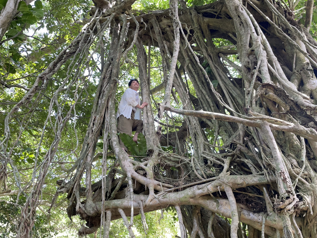 �c�A�[���ł́A�����ŊJ�񂵂������鋐�؂̒����炢�����I��ŃX�|�b�g�����ē����Ă��܂��I�@