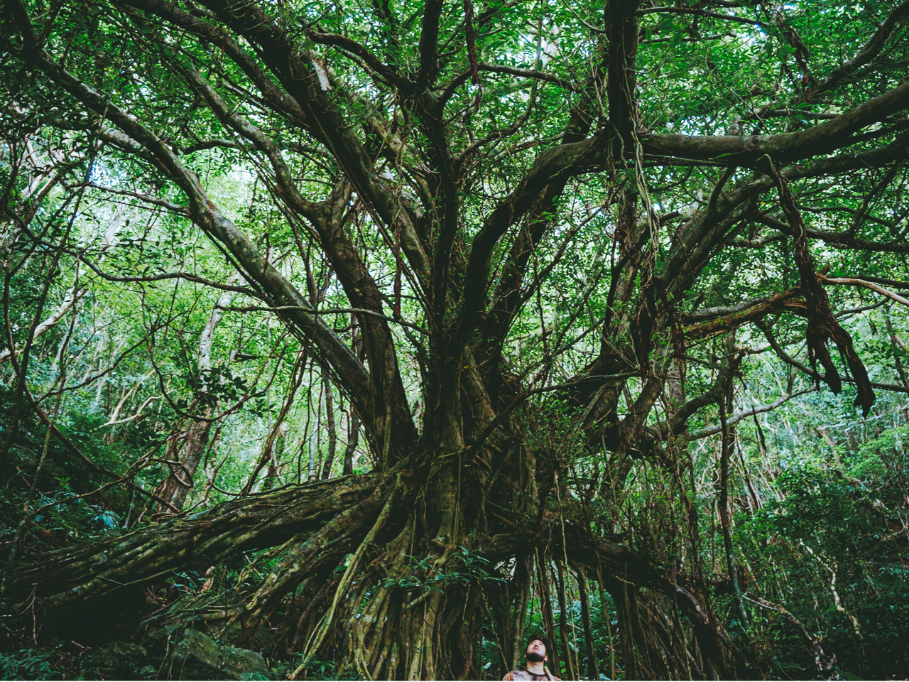 �厩�R�̑�p�m���}��̌����Ă݂܂��񂩁H�@�ߓ��������[���X���������ɂ����i