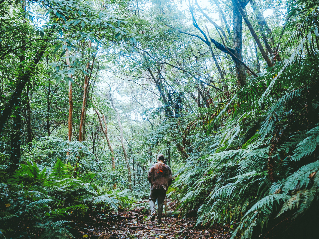 �}���O���[�u�̃J�k�[�̌����I������A�����̑��ڎw���ăg���b�L���O�I�����ɂ̓V�_�A���≂���̐X���ʂ鐶�������������Ȃ�������܂�