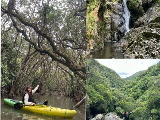 マングローブから川、山、滝と連なる奄美の水の循環を体験しよう!カヌーを漕いで、山をトレッキングして源流の滝までを丸ごと楽しめるツアープランになります!
