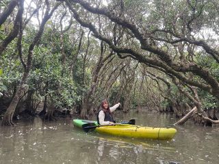 奄美と言えばマングローブ!静かな川の流れに癒されながらカヌーを漕ぎます!