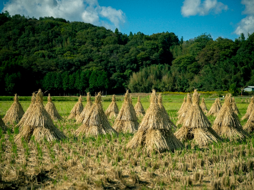 ���R�̌i�F