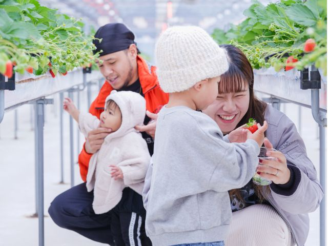 �n�ʂ���80�����̍����Ɏ������������͂��q�l��������n���₷����