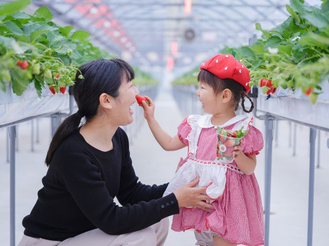 �Ƒ��݂�Ȃ̏Ί�͂�����A�ō��̏T�����o�����̌����B