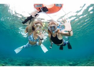 奄美大島でシュノーケル、サンゴ礁をのぞく体験