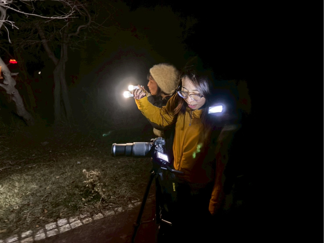 �����A�R�̖�i���f���鏉�S�Ҍ����g���b�L���O