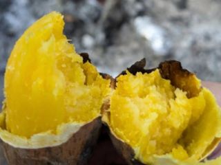\ご家族や親しい仲間と焚き火を囲んで美味しい焼き芋を頬張りませんか/