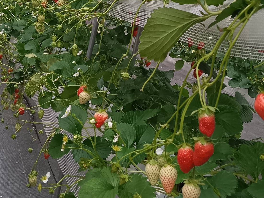 �y�ɐG��邱�ƂȂ��A��������肪�ł��܂��B