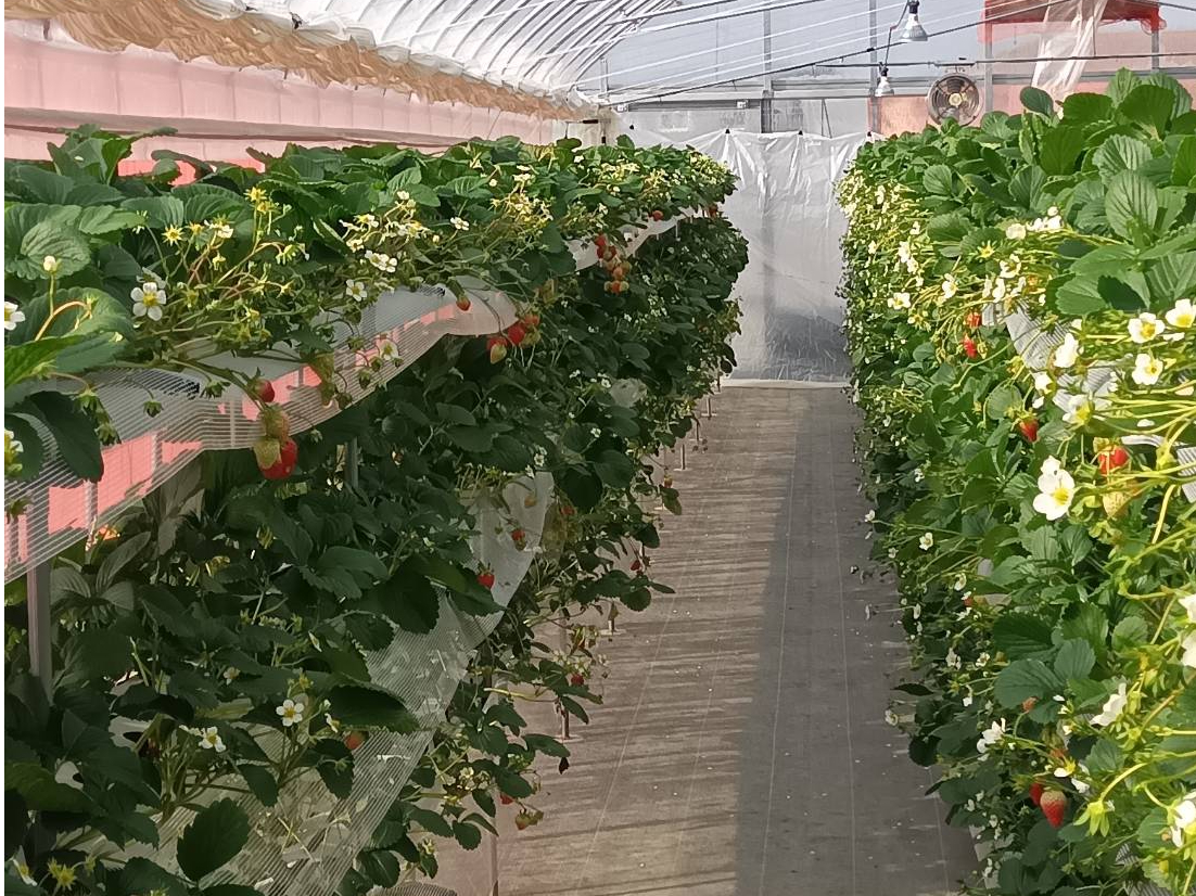 3�i�ɂȂ��Ă���̂ŁA�����Ȃ��q�l�⍂��̕����E�݂₷���ł��B