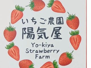 甘いいちごの食べ放題をお楽しみください